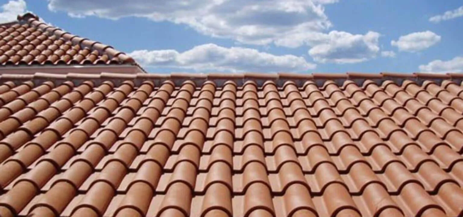 صورة المقال